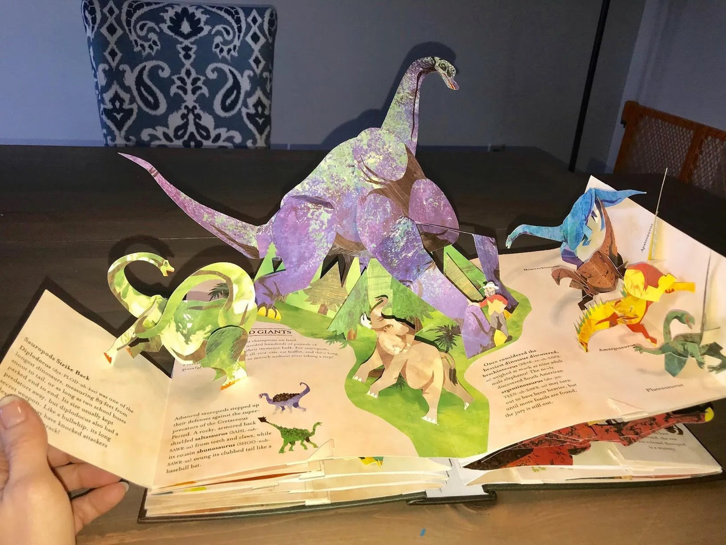 Colorful Interactive Kids Dinosaur Book