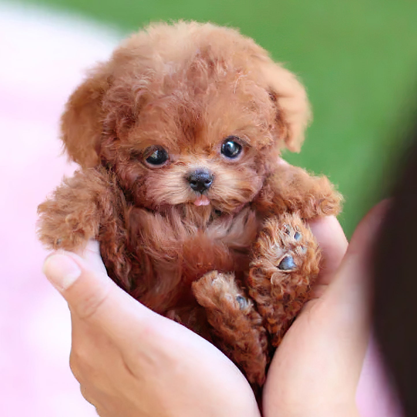 Fun Electronic Dog Toy with Realistic Movements - Halri