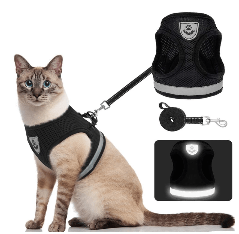 Safe Cat Harness with Leash and Reflective Straps