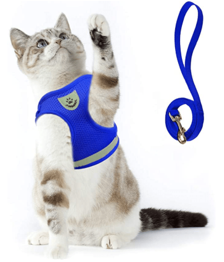 Safe Cat Harness with Leash and Reflective Straps