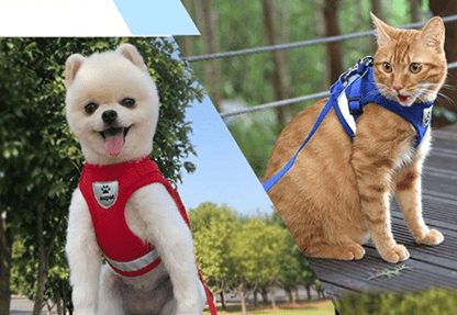 Safe Cat Harness with Leash and Reflective Straps - Halri
