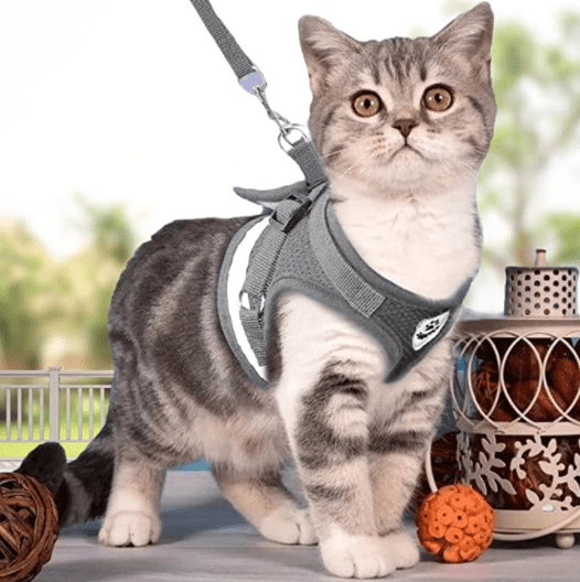 Safe Cat Harness with Leash and Reflective Straps