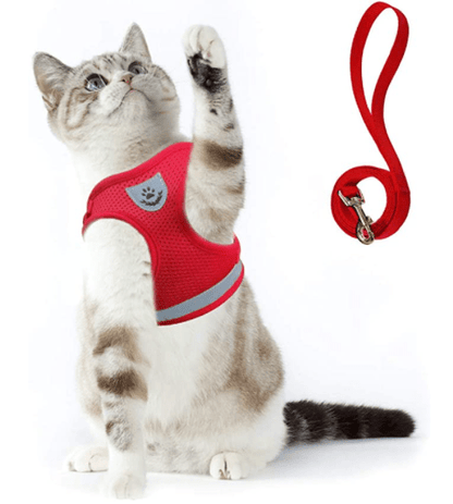 Safe Cat Harness with Leash and Reflective Straps