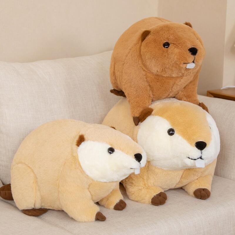 Soft Brown Teddy Beaver Stuffed Animal - Halri