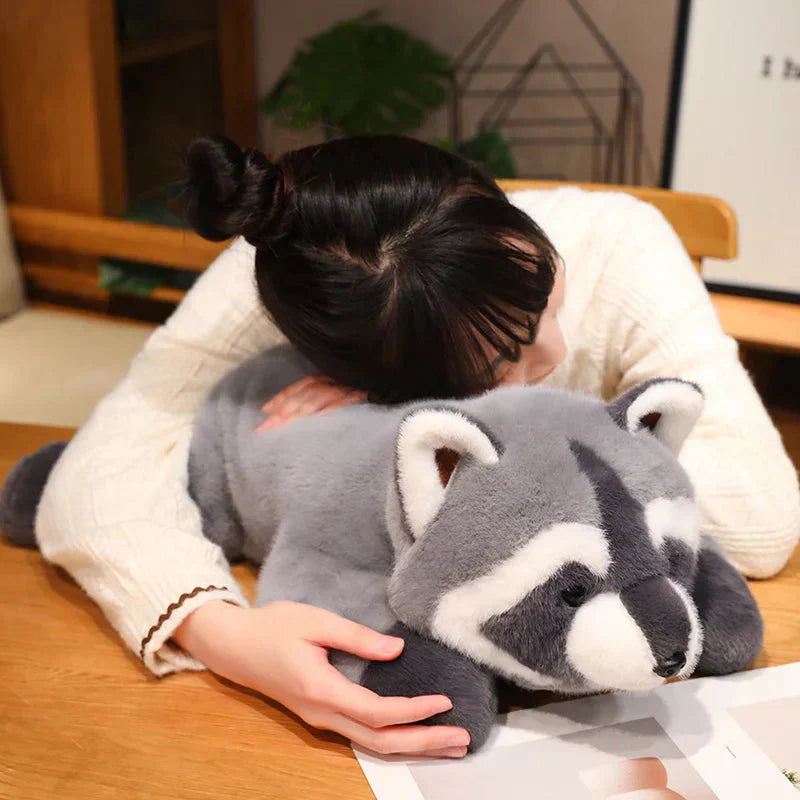 Soft Cuddly Raccoon Teddy Plush Toy - Halri