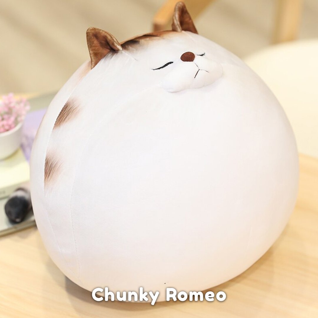 Funny Fat Cat Team