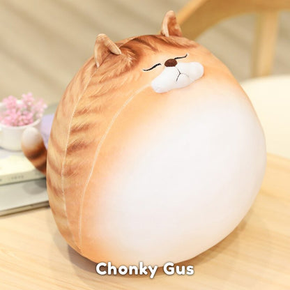 Funny Fat Cat Team