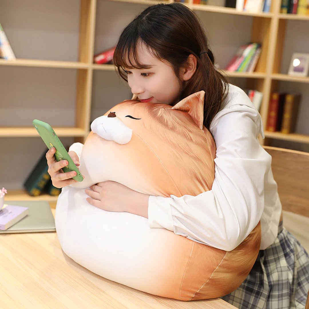 Funny Fat Cat Team - Halri