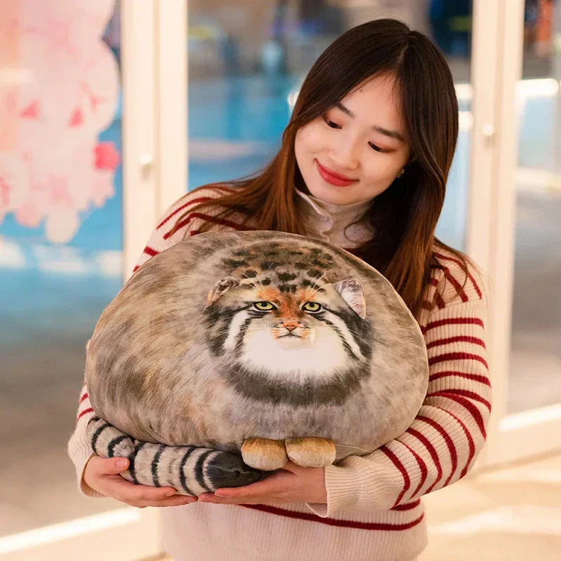 Cute Pallas Cat Soft Toy - Halri