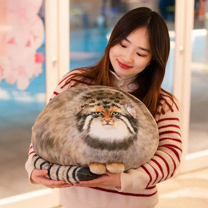 Cute Pallas Cat Soft Toy - Halri