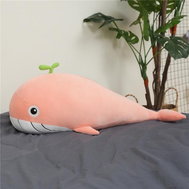 Snug Whale Soft Plush Toys - Halri