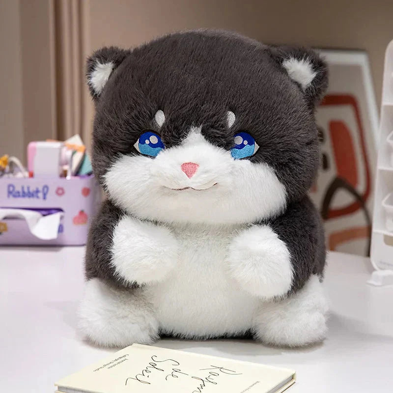Adorable Fat Grey Kitten Soft Plush Toys - Halri