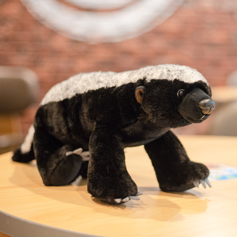 Cute Honey Badger Soft Toy