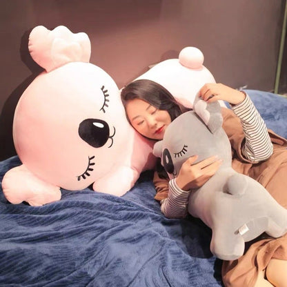 Cute Koala Joey & Kloe Animal Lovers - Halri