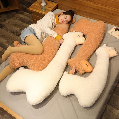 Cute Alpaca Soft Toy - Halri