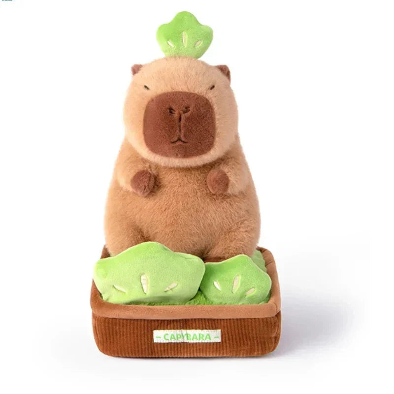 Cute Capybara Planter Soft Toy - Halri