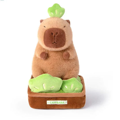 Cute Capybara Planter Soft Toy - Halri
