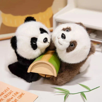 Cute Soft Brown Panda Teddy Plush Toys - Halri