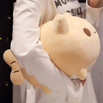 Cute Cat Ball Soft Toy - Halri