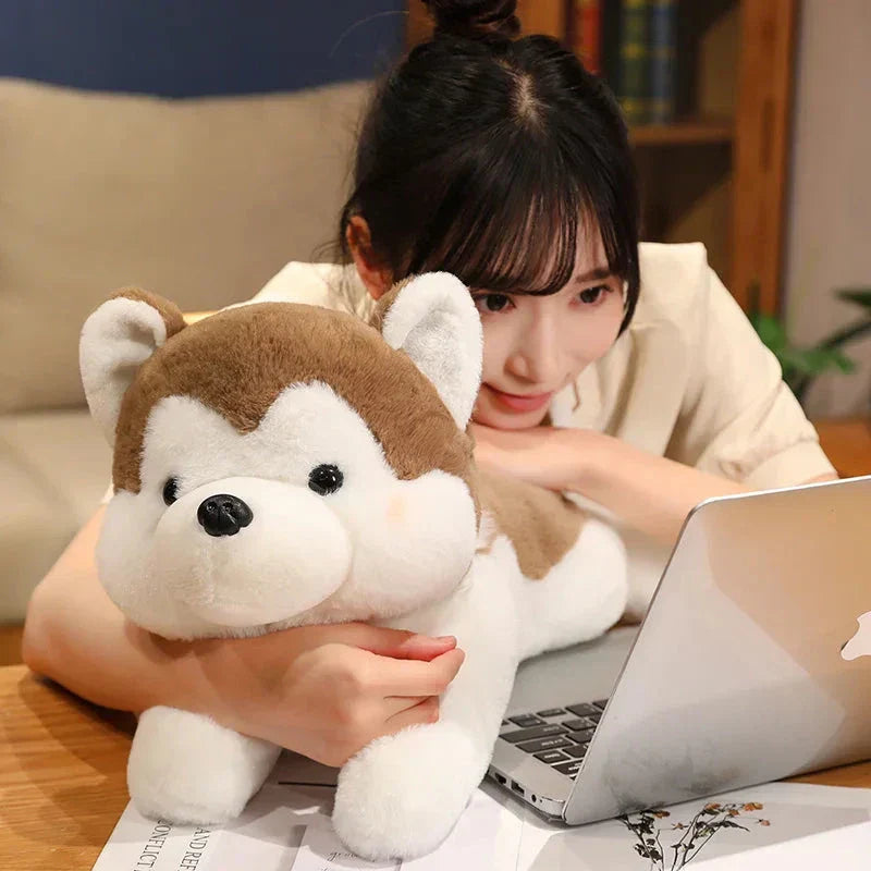 Cute Husky Teddy Plush Toy - Halri