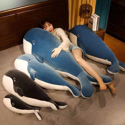 Big Cute Whale Soft Toy - Halri