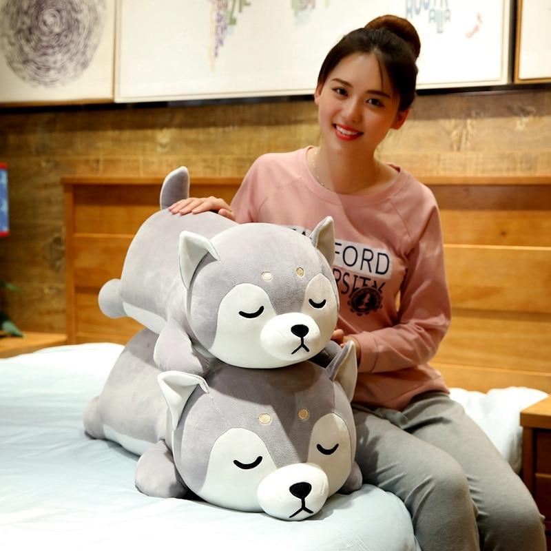 Cuddly Husky Teddy Plush Toy - Halri