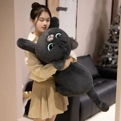 Cuddly Kitten Soft Plush Toys - Halri