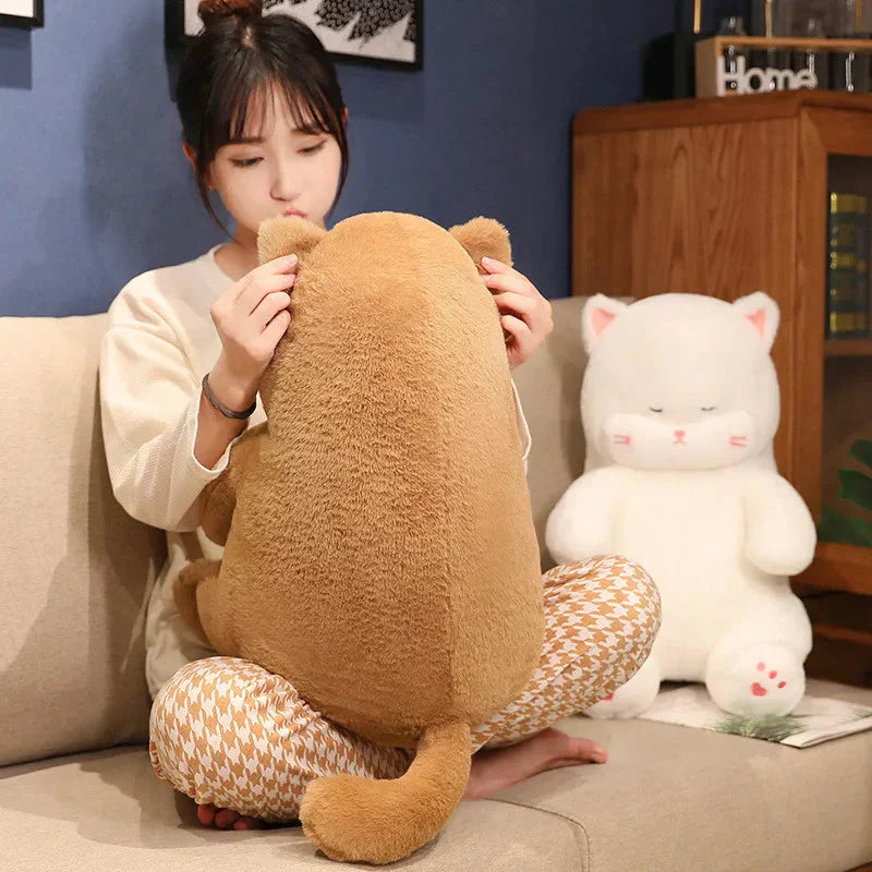 Cuddly Soft Kitten Plush Toy - Halri