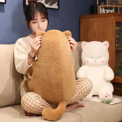 Cuddly Soft Kitten Plush Toy - Halri