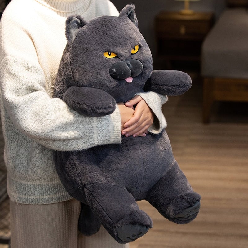 Funny Grumpy Cat Soft Toy - Halri