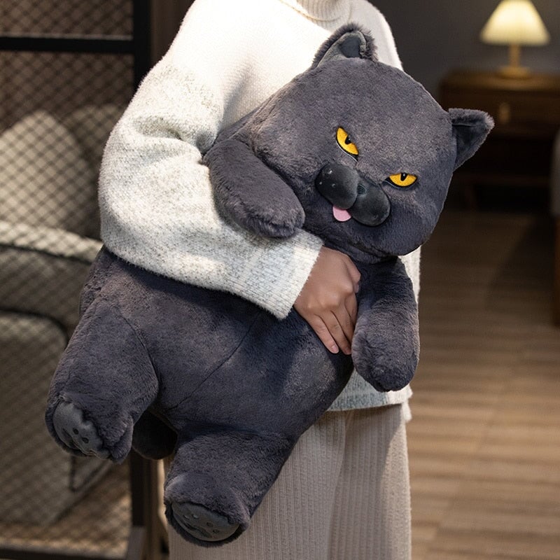 Funny Grumpy Cat Soft Toy