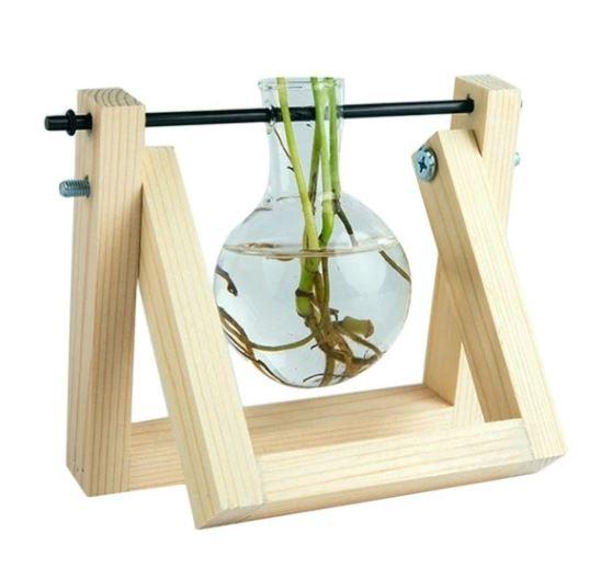 Easy Plant Cutting Starter Kits