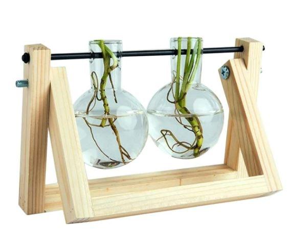Easy Plant Cutting Starter Kits