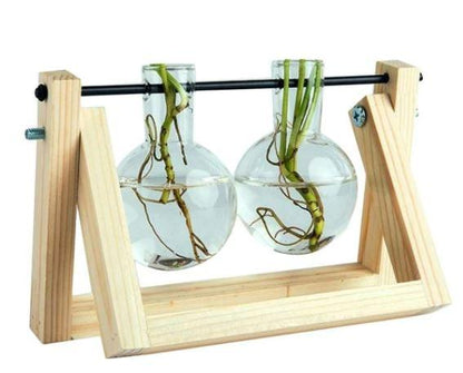 Easy Plant Cutting Starter Kits
