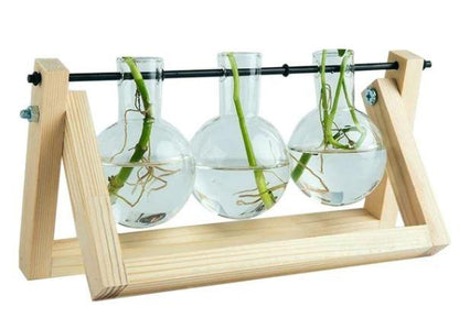 Easy Plant Cutting Starter Kits