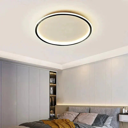 Sleek Ceiling Lamp - Simple Elegant Lighting - Halri