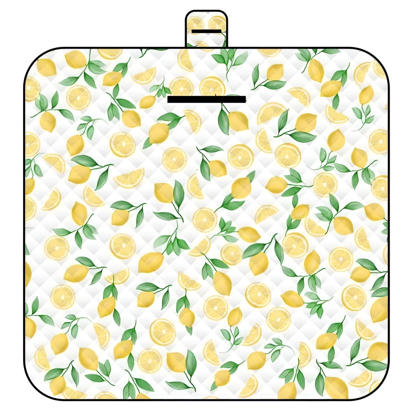 Portable Baby Play Mat with Padded Waterproof Layer