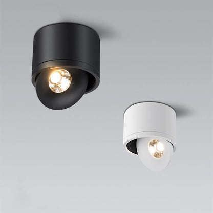 Adjustable Ceiling Spot Light Rotating Fixture