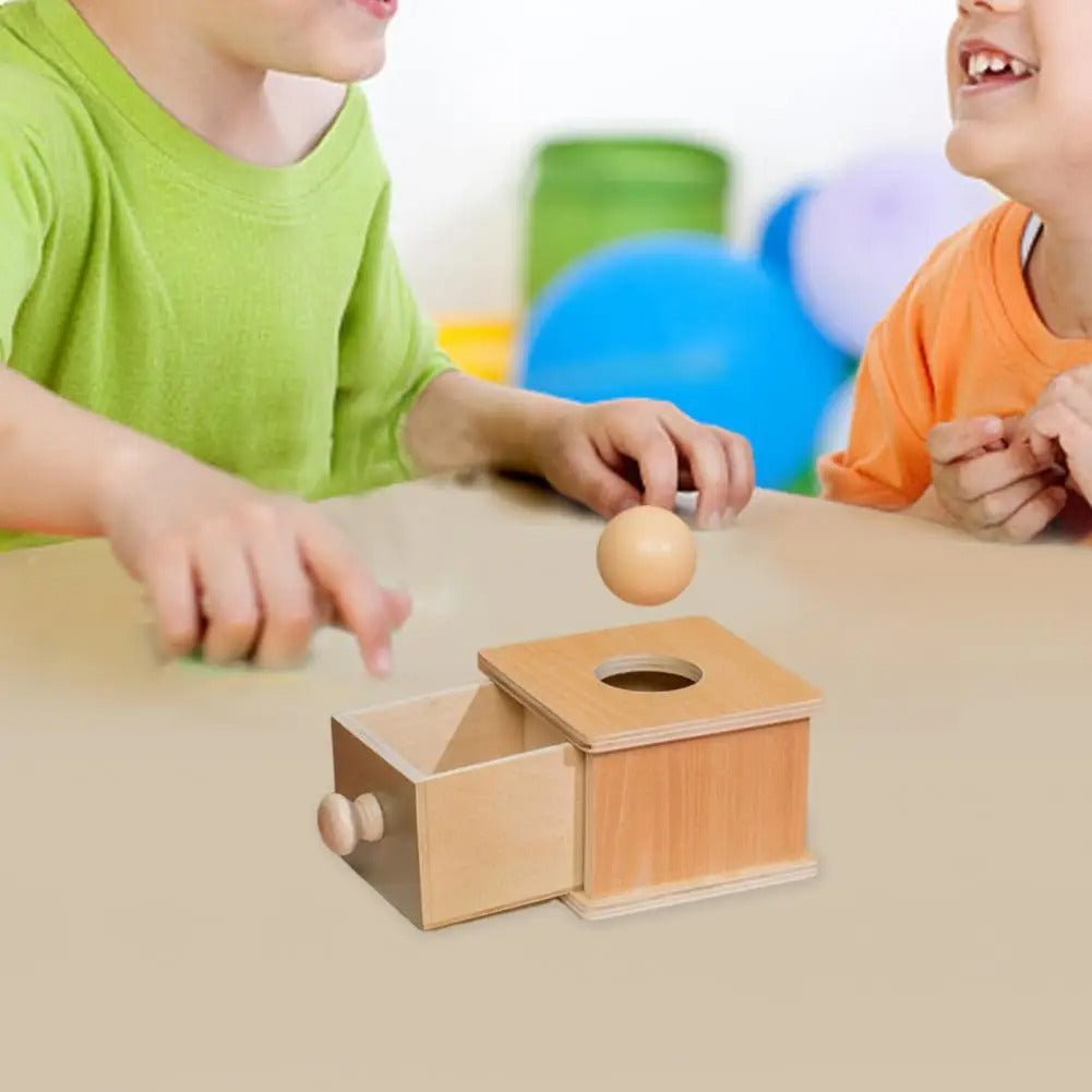 Learning Wooden Toy Box with Ball for Kids - Halri