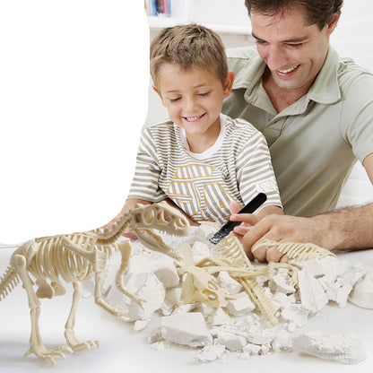 Dino Fossil Excavation Kit - Halri