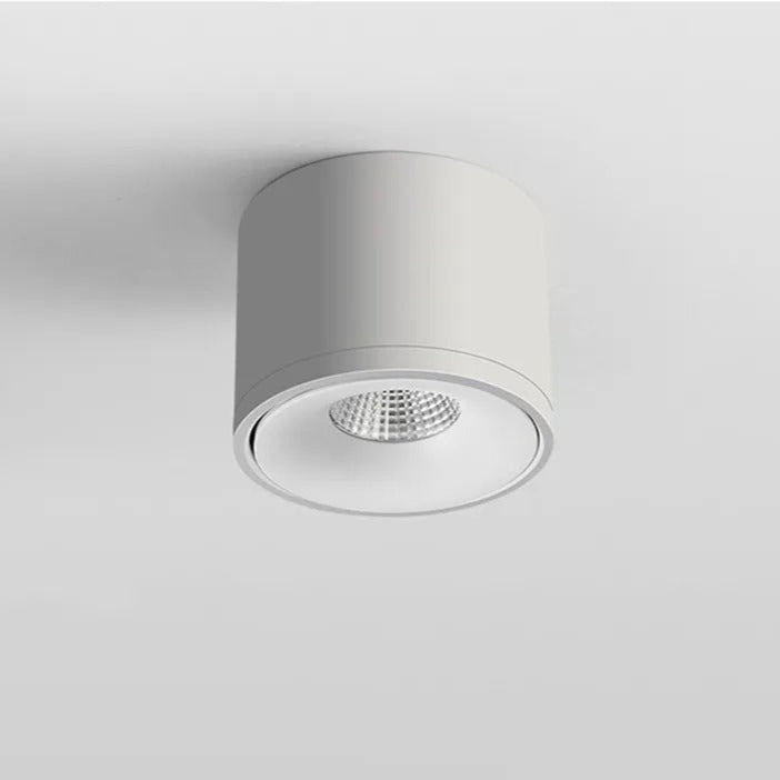 Adjustable Ceiling Spot Light Rotating Fixture