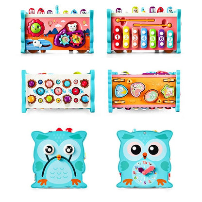 Fun Educational Owl Toy Set - Halri