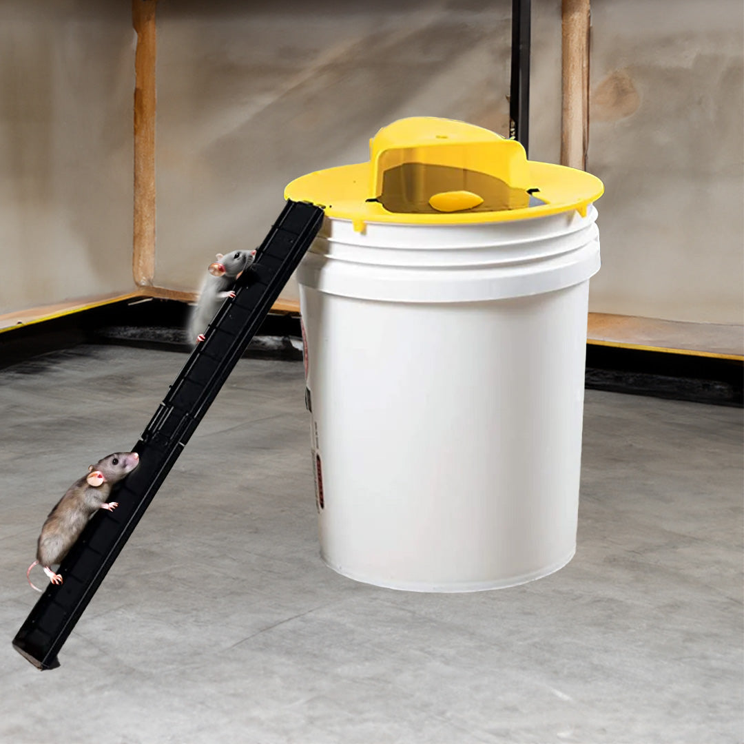 Safe Live Mouse Trap Reusable Rodent Catcher Solution - Halri