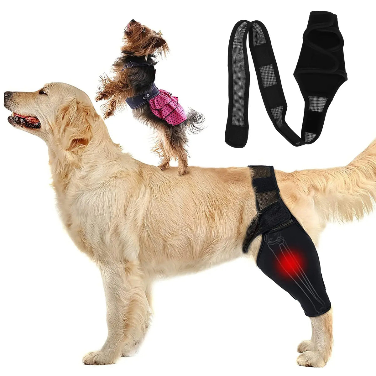 Comfortable Pet Knee Support Wrap for Dogs - Halri
