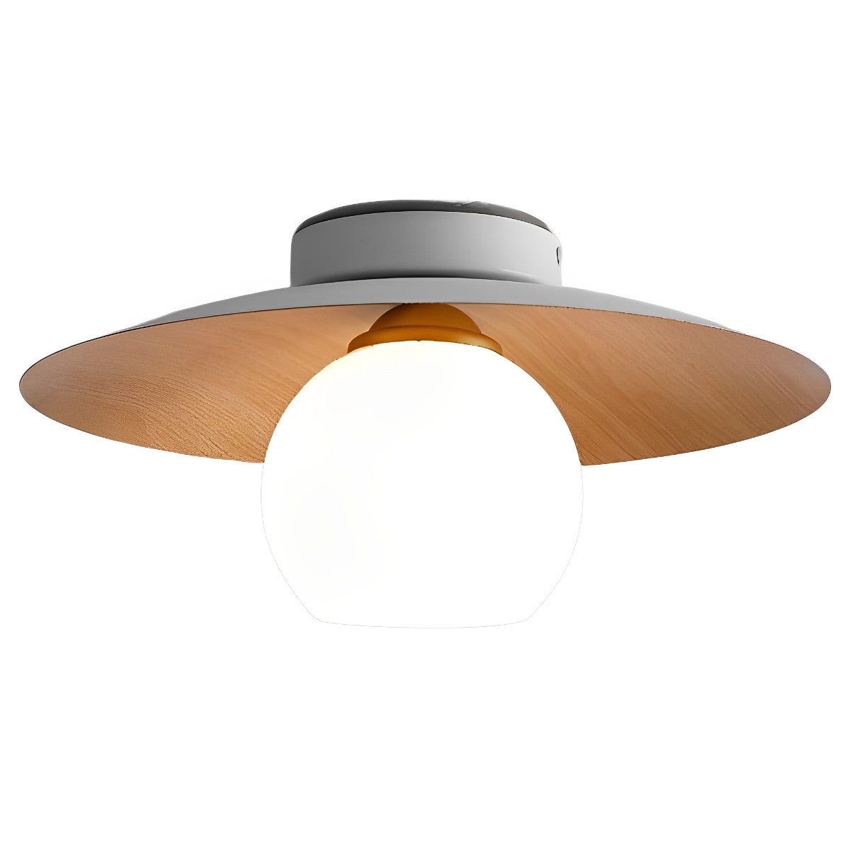 Simple LED Ceiling Light Fixtures Flush Mount Chandelier