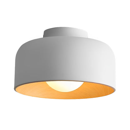 Simple LED Ceiling Light Fixtures Flush Mount Chandelier