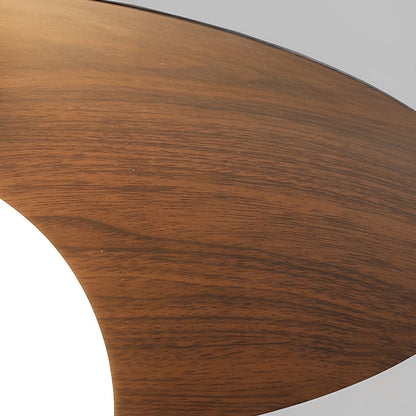 Simple LED Ceiling Light Fixtures Flush Mount Chandelier
