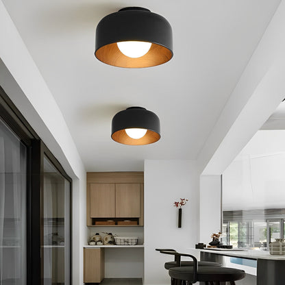 Simple LED Ceiling Light Fixtures Flush Mount Chandelier