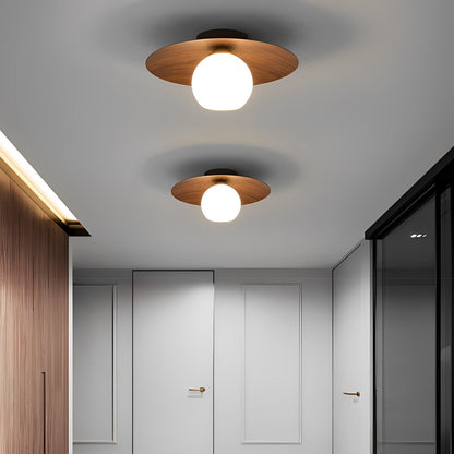 Simple LED Ceiling Light Fixtures Flush Mount Chandelier