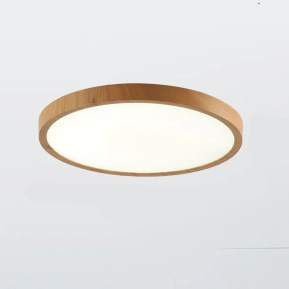 Stylish Round LED Ceiling Light Adjustable Brightness